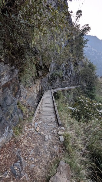 玉山主峰單人單攻3039781