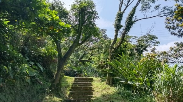 瑞芳區琉榔路觀光步道-小粗坑古道(小粗坑山+粗坑口山)3053298