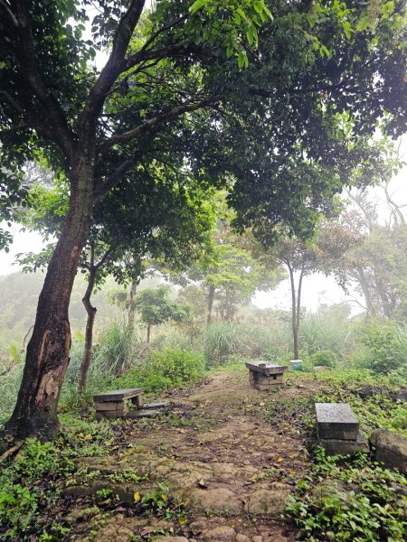 2026年臺北大縱走第六段：中華科技大學至捷運麟光站3026035