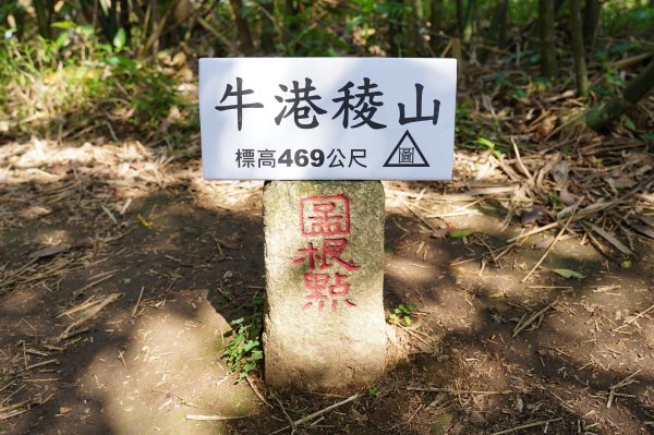 新北 八里 觀音山、牛港稜山2681375
