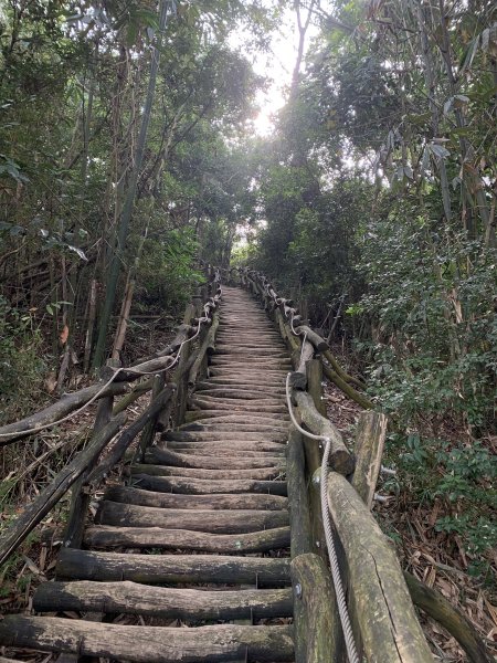 20251108台中頭嵙山-二嵙山2933360