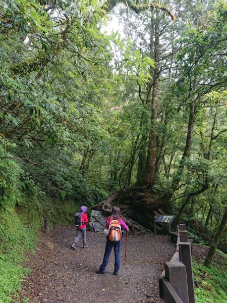 福巴越嶺古道上拉拉山（達觀山）1748418