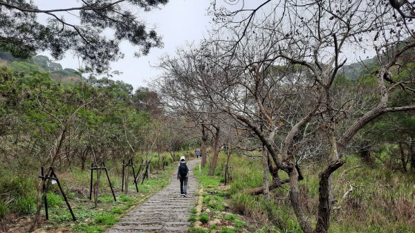 《台中》新春減肥｜龍井竹坑南寮登山步道202202121608733