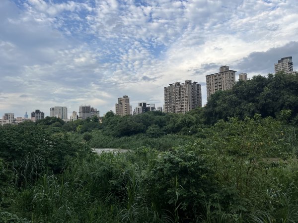 [全臺走路趣尋寶-22/100] 2024_0618 景美河濱公園2530306