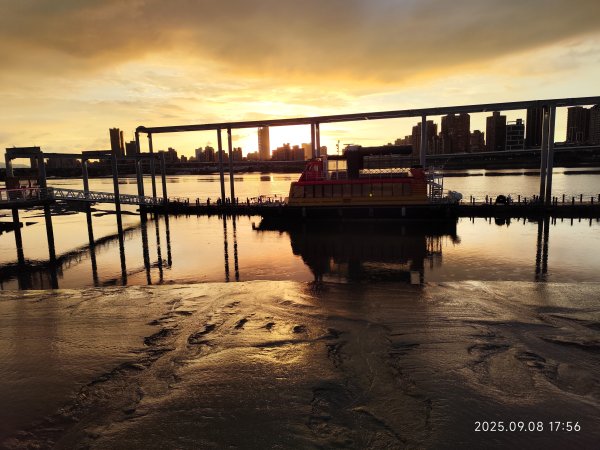 【臺北大縱走 8】萬壽橋頭(木柵)公車站→捷運關渡站［河濱自行車道］2882002