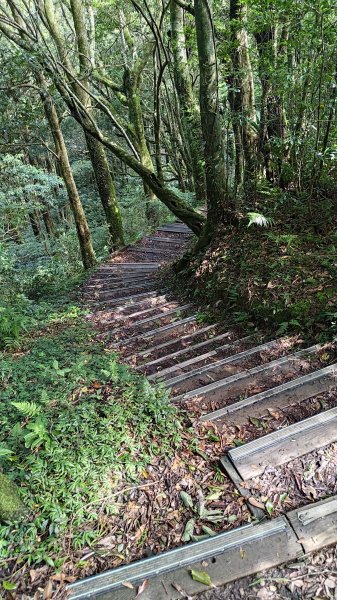 東眼山3107279