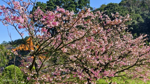 天元宮了嗎？2/32992583