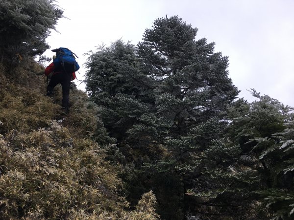 八通關山、八通關山西峰、秀姑巒山526169