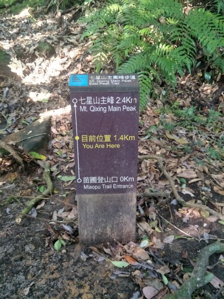 七星山主、東峰登山步道1682137