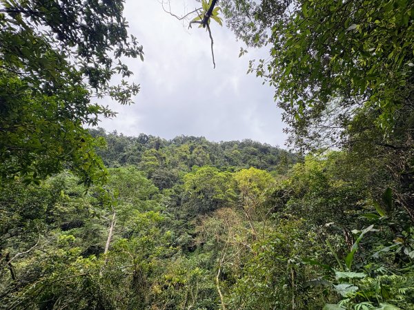 鯉魚山步道群2728321