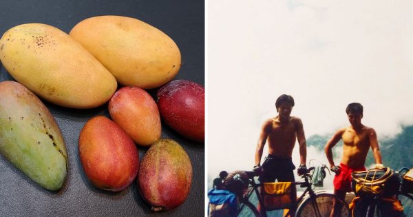【南橫】30年前單車上南橫   吃著甜美的芒果卻流下眼淚
