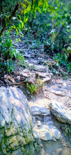 笠頂山3031112
