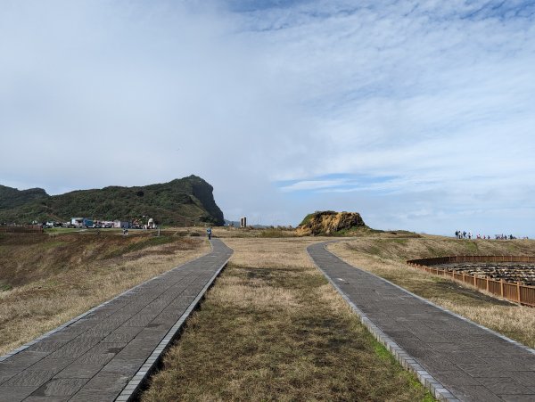 2023-02-11 八斗子潮境公園、環保復育公園步道2792562