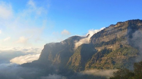 阿里山青年活動中心 櫻花季852383