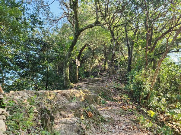20240114指南宮站經猴山岳二格山鵝角格山至貓空站2430799