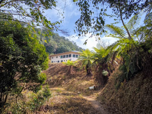 2026-02-08 藤枝山2998429