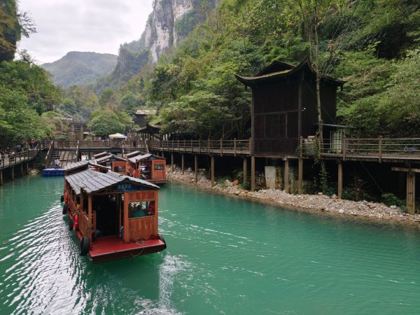 2025/11/11日張家界大峽谷2940995