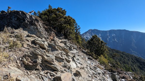 關山嶺山步道2436160