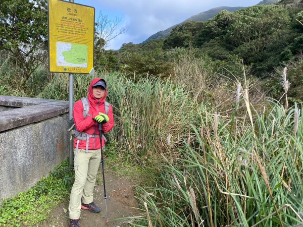 小觀音山群峰【當登山遇到惰性來襲時…】2686409