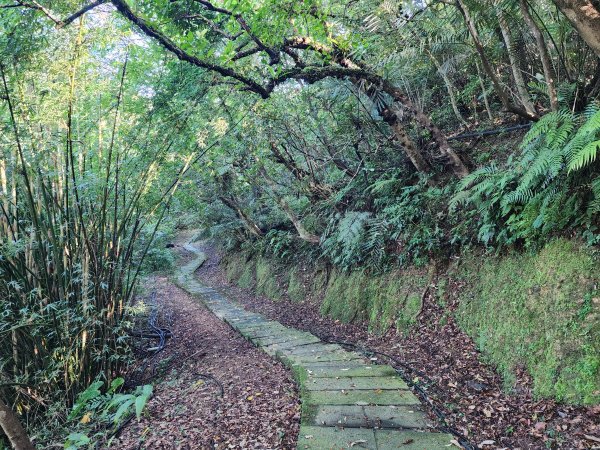 小百岳No.10⛰五分山2883138