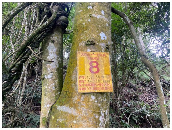 大克山 南稜線A上B下 (卓蘭最高峰)2825473