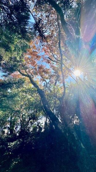 馬那邦山O走2370131