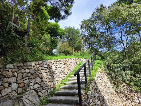 [百山百鳥尋旅-07/15] 2025_0831 八仙山國家森林遊樂區步道群_天籟步道2875912