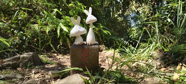 2025/08/23_白石山步道+石龜坑山O型2871086