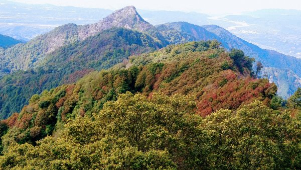 鳶嘴山，稍來山（小百岳），稍來南峰O走封面