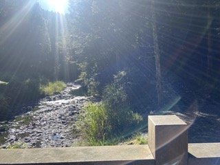 1120710觀霧國家森林風景區2938308