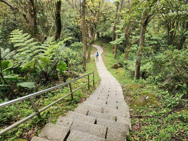 小百岳No.12⛰汐止大尖山2751648