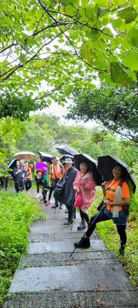 🌈貂山古道-黃金地質公園-黃金神社🌈2601274