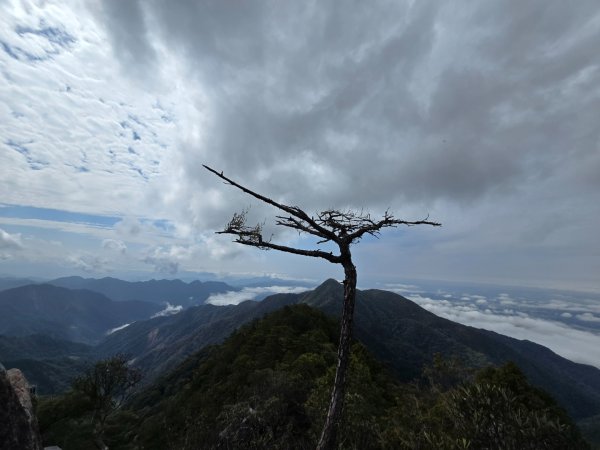 鳶嘴山+稍來神木2709856