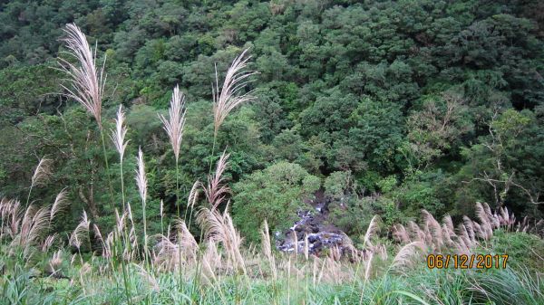 礁溪 - 聖母步道  煙雨故人來 ... 222697