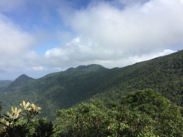 內鳥嘴山（北德拉曼神木步道）228566