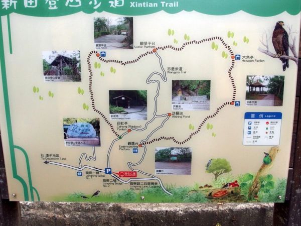 新田登山步道(聚興山)100162