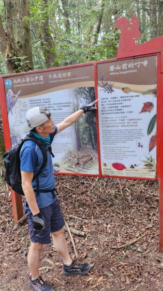 20251014雪見遊憩區 🚴‍♂️咖搭車走司馬限林道上東洗水山兩刷北坑山至大板根2916422
