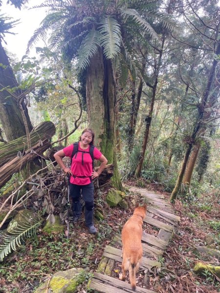 阿拔泉山、觀音石山、紅南坑山、獨立山2650834