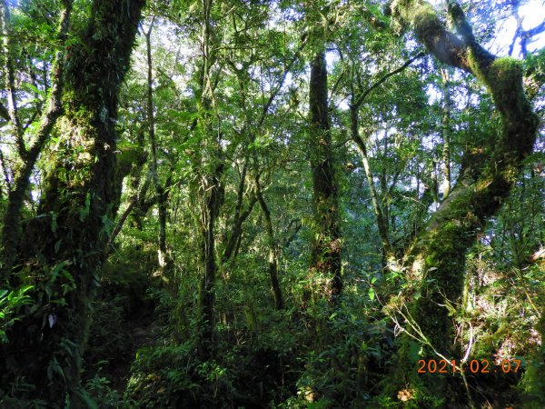 臺東 東河 都蘭山1262039