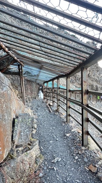 東埔-排雲-玉山西峰-玉山主峰2753207