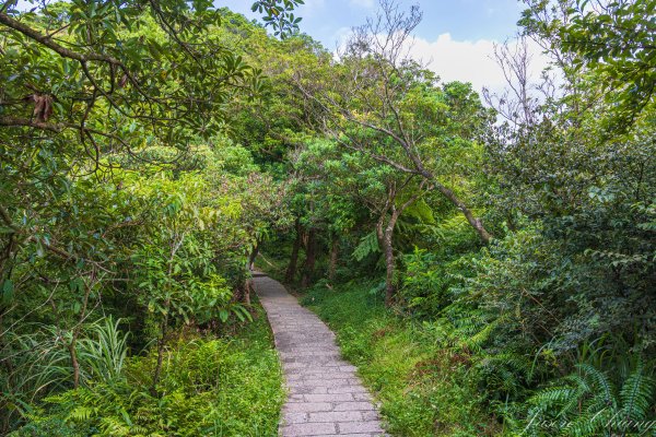 [新北]汐止大尖山2906090