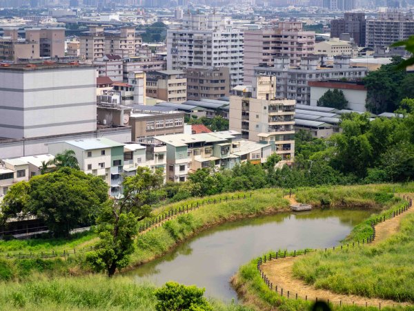 阿罩霧山、中心瓏步道3085678