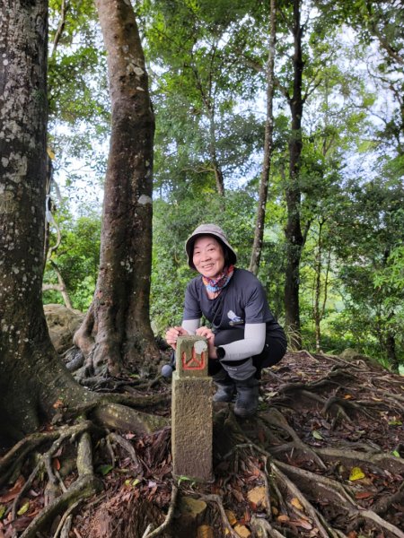 鵝公髻山採桃趣-202505302865282