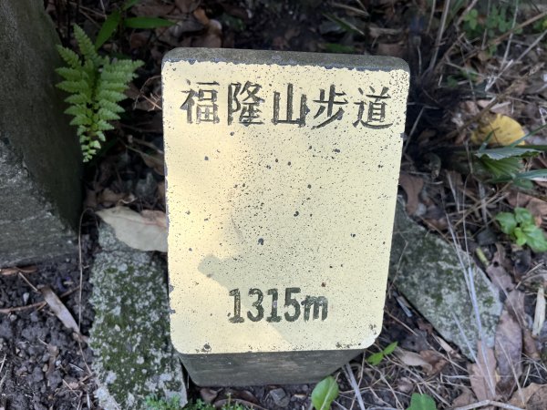 [2024觀音觀鷹尋寶任務-7/7] 2024_0511 福隆山登山步道2502261