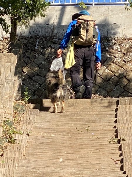 1130318雲嘉五連峰(太平往大尖)2431331