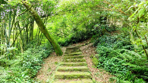 石碇大崙,人頭面山,獅公髻尾山2800413