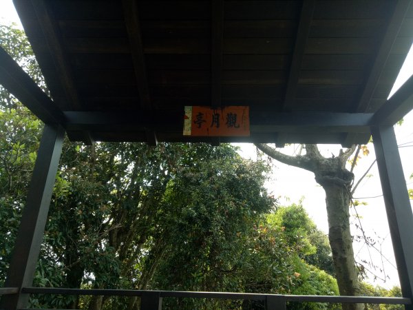 南勢角山縱走天上山1866376