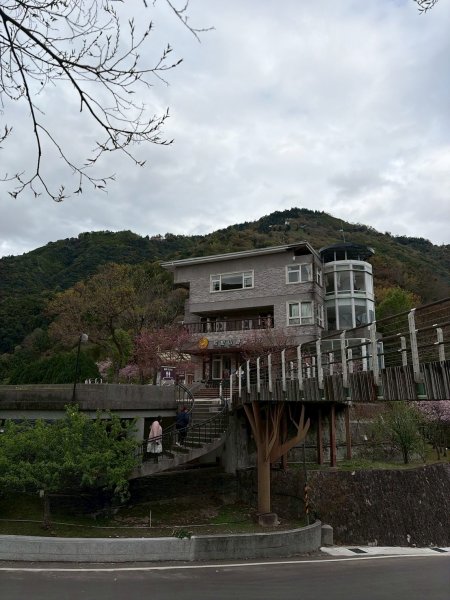 桃園 復興 巴陵古道3011852