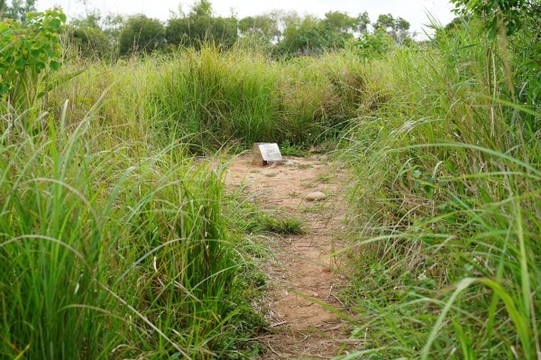 臺中 龍井 竹坑山2767048