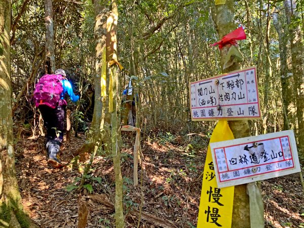 再訪關刀山西峰、主峰順撿西關刀山北峰  1165183